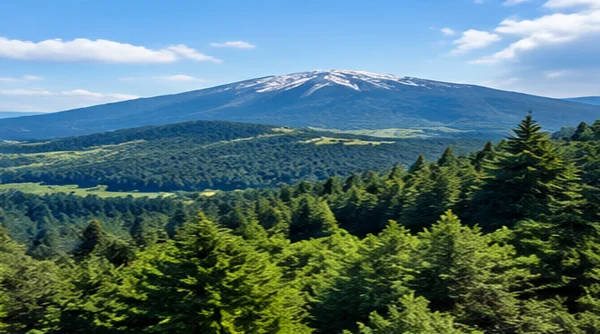 Kartepe ilçesi için temsili bölge görseli